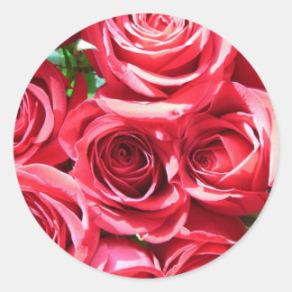 Pegatinas de Red Roses Bunch