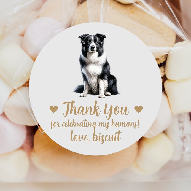 Pegatinas de regalo de boda de perro Border Collie (Subido por el creador)