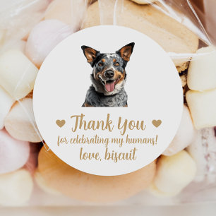 Pegatinas de regalo de boda de perro boyero austra