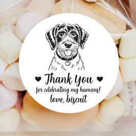 Pegatinas de regalo de boda de perro Pointer alemá