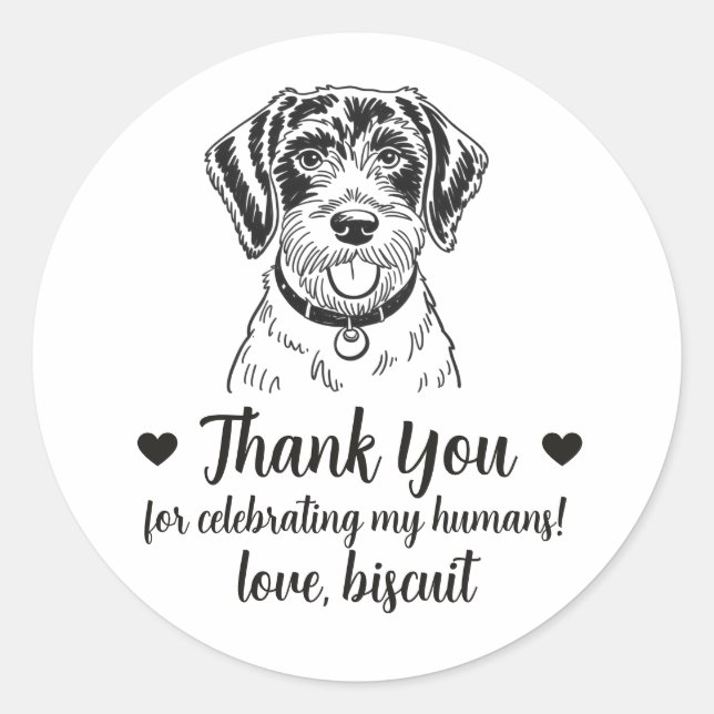 Pegatinas de regalo de boda de perro Pointer alemá (Anverso)