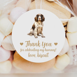 Pegatinas de regalo de boda de perro Spaniel inglé