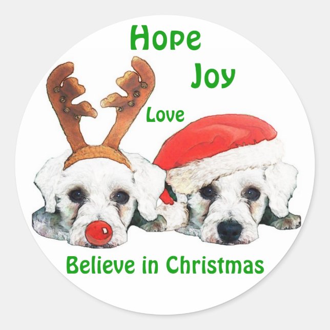 Pegatinas de renos de Santa Hat Schnauzers (Anverso)