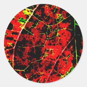 Pegatinas de Resumen Rojo