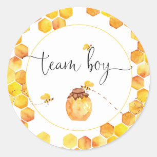 Pegatinas de revelación de género de Team Boy Bee