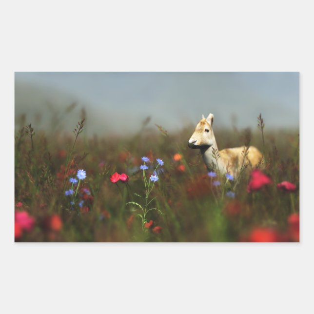 Pegatinas de Roe in a Meadow (Anverso)