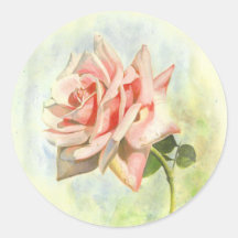 Pegatinas de rosa rosa