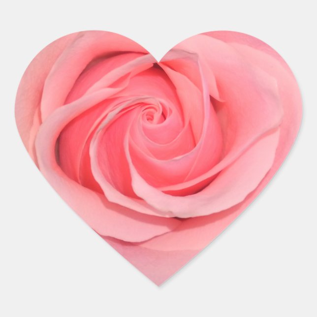 Pegatinas de rosa rosa rosa con forma de corazón (Anverso)