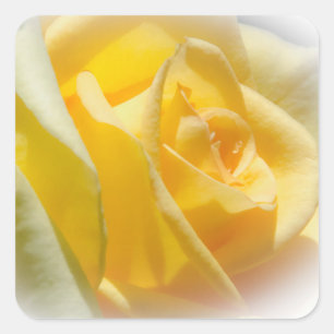 Pegatinas de Rosas Amarillas