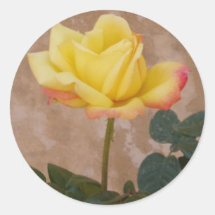 Pegatinas de Rosas Amarillas