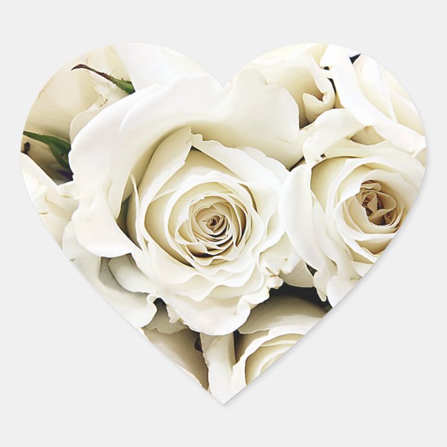 Pegatinas de rosas blancas (Anverso)