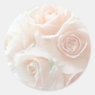 pegatinas de rosas de coral pálidos