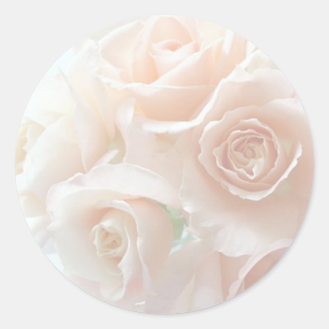 pegatinas de rosas de coral pálidos (Anverso)