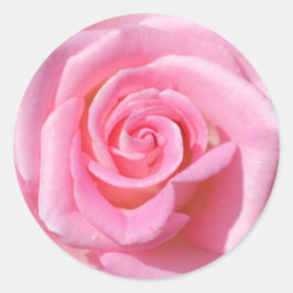 Pegatinas de Rose Circle Rosa