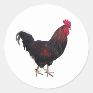 Pegatinas de Round Rooster
