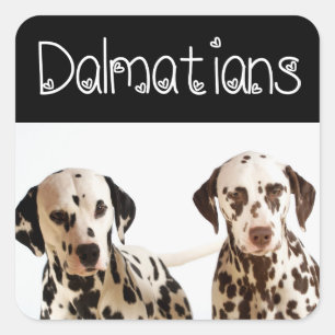Pegatinas de saludo de cachorro dálmata