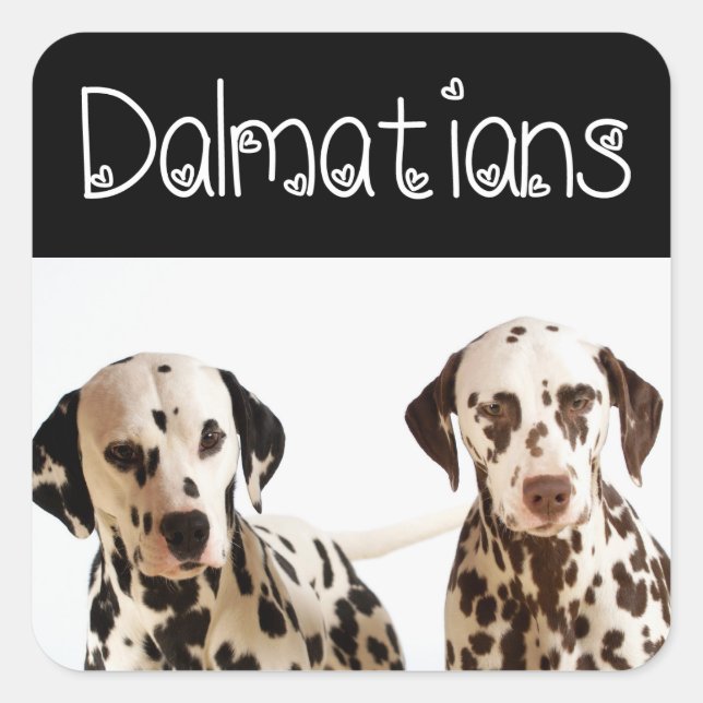 Pegatinas de saludo de cachorro dálmata (Anverso)