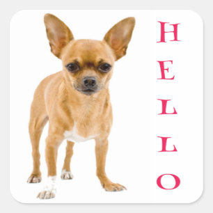 Pegatinas de saludo de cachorro de Chihuahua