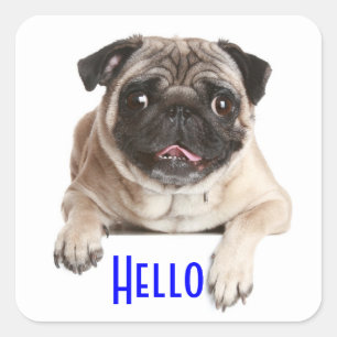 Pegatinas de saludo de cachorro de perro Pug