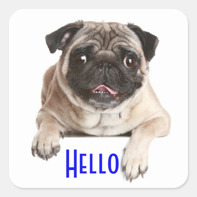 Pegatinas de saludo de cachorro de perro Pug (Anverso)