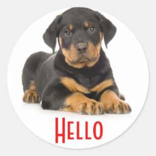 Pegatinas de saludo de cachorro de perro Rottweile