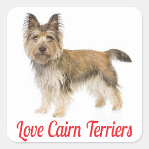 Pegatinas de saludo de cachorro de perro Terrier C