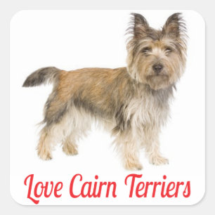 Pegatinas de saludo de cachorro de perro Terrier C