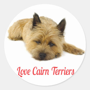 Pegatinas de saludo de cachorro de terrier Cairn d