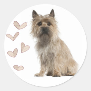 Pegatinas de saludo de cachorro de terrier Cairn d