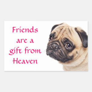 Pegatinas de saludo de perro cachorro Pug amigos
