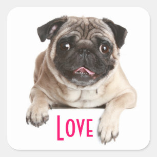 Pegatinas de saludo de perro cachorro Pug de amor