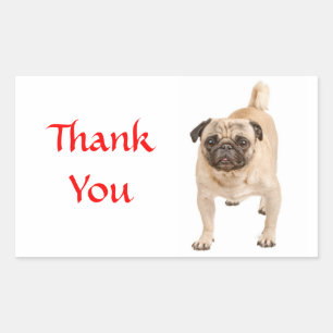 Pegatinas de saludo de perro cachorro Pug Gracias
