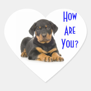 Pegatinas de saludo para cachorros de Rottweiler