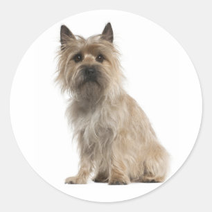 Pegatinas de saludo para cachorros de Terrier Cair