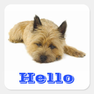 Pegatinas de saludo para cachorros de terrier de C