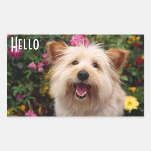 Pegatinas de saludo para cachorros de terrier de C