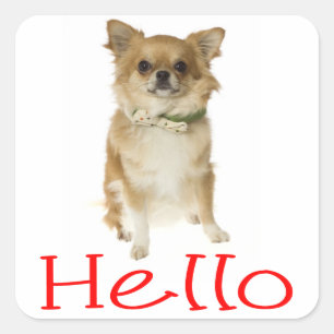 Pegatinas de saludo para perro cachorro Chihuahua