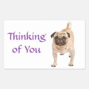 Pegatinas de saludo para perro cachorro Pug Pensan