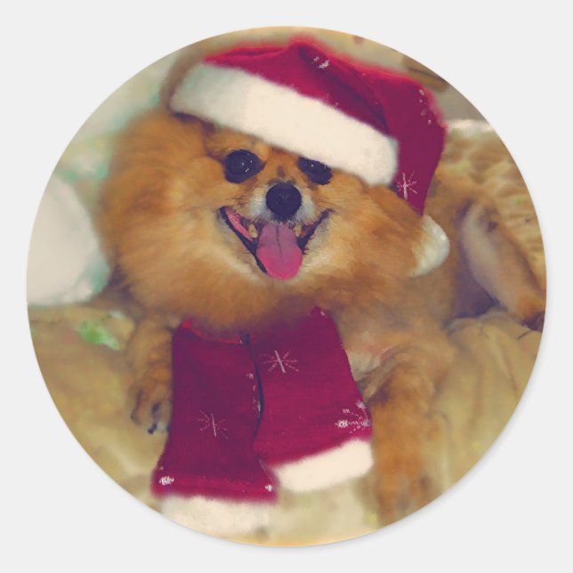 Pegatinas de Santa Xmas de Pomerania (Anverso)