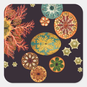 Pegatinas de Sea Squirt Remix