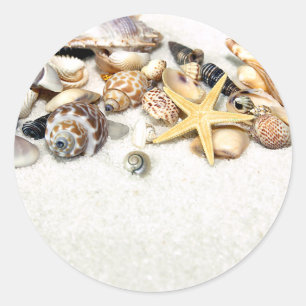 Pegatinas de Seashells