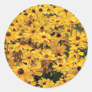 Pegatinas de Sello para sobres de Daisies Amarillo