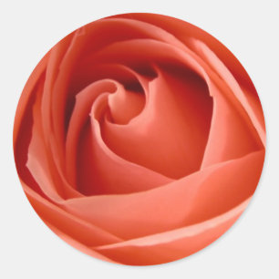 Pegatinas de Sello para sobres de Rosa Peach