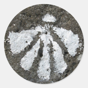 Pegatinas de Shell de concha de peregrino