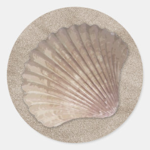 Pegatinas de Shell de mar