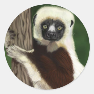 Pegatinas de Sifaka