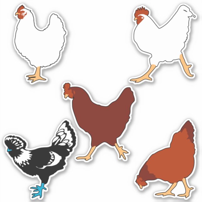 Pegatinas de siluetas de pollo simples (Anverso)