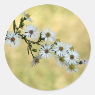 Pegatinas de SimpleDelight