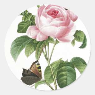 Pegatinas de sobre mariposa rosa rosa