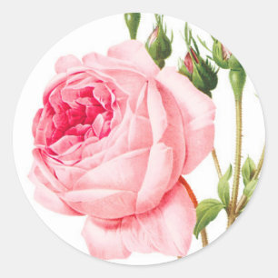 Pegatinas de sobre rosa rosado